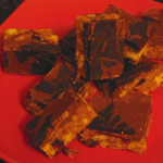 plate of vegan tiffin with chocolate and cranberries